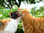 030526_3867@TST