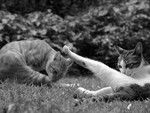 030526_3926@TST
