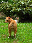 030528_4207@TST