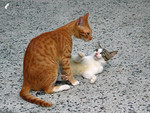 030904_5182_�áG�A�Q�I�r...