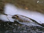 ������_p4100164