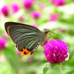 ��˽�_030821_4429