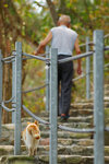 070401_cat_023