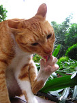 o�X~ �̦�!! ����"o��"�e�}��o���{... �@.�@"