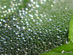 040926_02