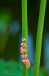 060701_59s