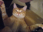 DSC00254s