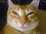 DSC00262s