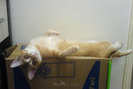 DSC00327s
