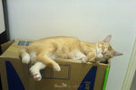 DSC00333s