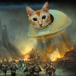MeowLo War Cute