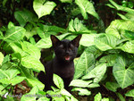 030528_4140@TST