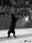 031229_9604bw