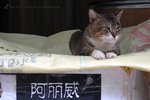 ���R��_040905_42