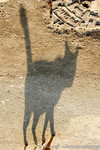 050101_108_crop