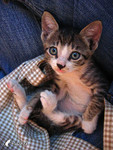 040912_85