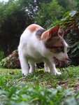 ��_040611_96