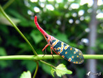 �����ά�_�s����_040530_026