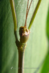 �˸`��_040530_078