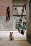 �ߥ��J_041127_083