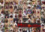 Halloween (Eng. Ver.)