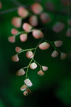 060624_59s