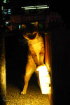 �]�O��_031223_8193