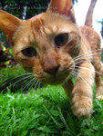 040713_06_�����ⰵ�Ӧn�B��~