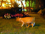 030220_2444
