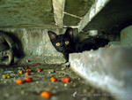 �«}�}o�JBB_031022_0345