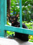 �«}�}o�JBB_031023_0443
