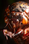 ��_060610ns_40s