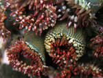 �p����_p4090028