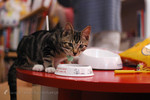 041129_025