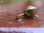 ����_040828_03