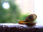 ����_040828_10