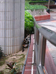 �s�ߤk_050314_01