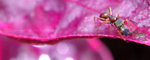 �Ƶ�_040529_063