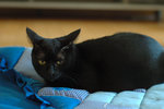 �«}�}_050320_11