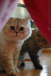 �p��_050320_28