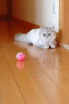 �p��_050320_50