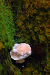 ����?_050919_01