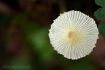 ����_080406_002s