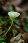 ����_080406_004s
