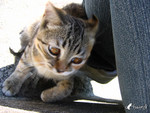040920_195