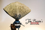 Oyster Boy 4