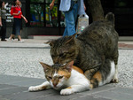 030520_3129@TST