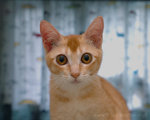 look_01_1280x1024