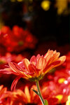 f03