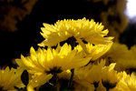 f06